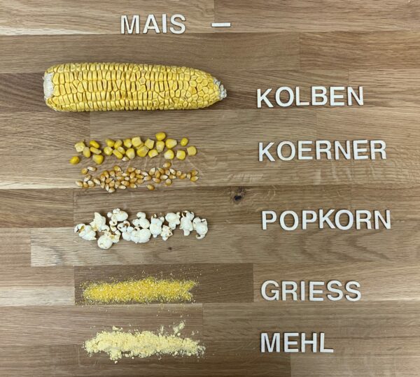 Der Maiskolben und das heiß geliebte Popkorn - USA - Schneggi & Spatzl