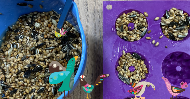 Vogelfutter Rezept  DIY  Website2 2 768x403